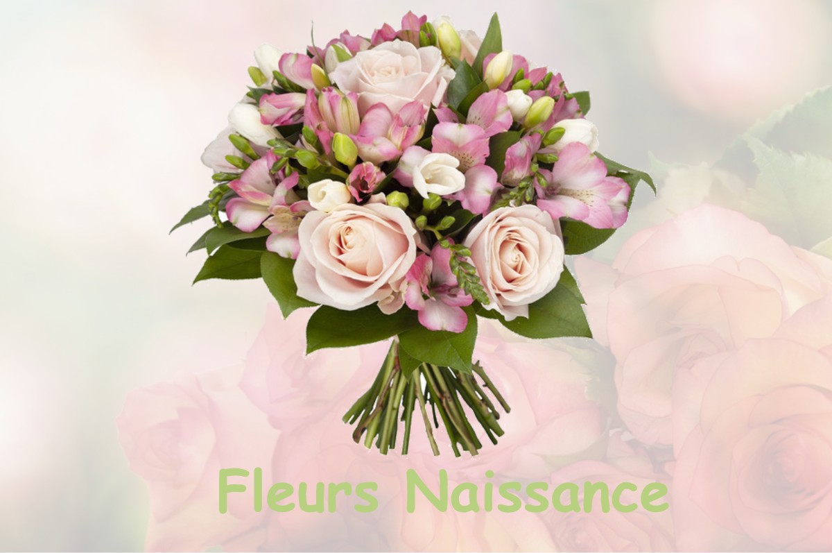 fleurs naissance LAVAU-SUR-LOIRE